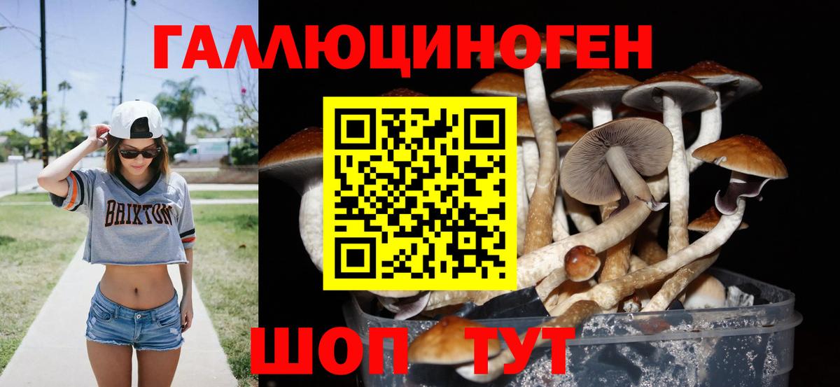 Псилоцибиновые грибы ЛСД  Галлюциногенные грибы мухоморы  купить наркотик  Кулебаки  Вход с VPN 
